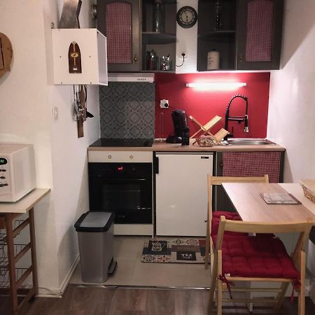 Studio Saint Lary Au Pla D'Adet Kültér fotó